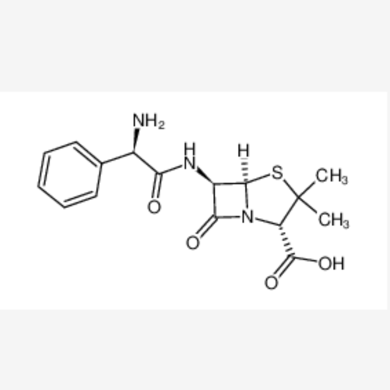Thuoc ampicillin